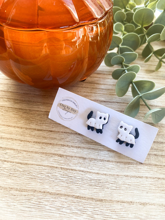 Ghost Cat Stud